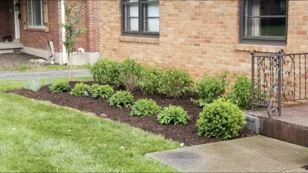 Custom landscaping services experts serving Louisville, KY - Cutter Lawn Care