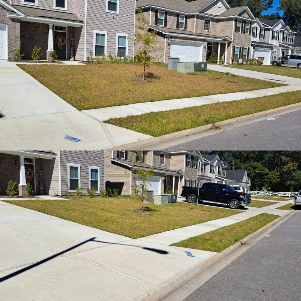 Top-rated garden landscaping for beautiful yards across Vernonburg, GA - Cutter N Son Lawn &Pressure Washing
