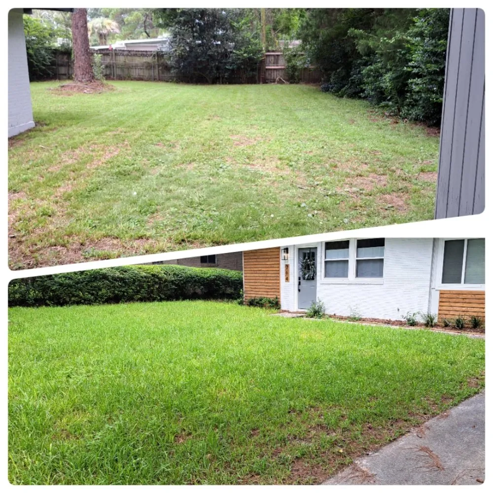 Local landscaping services in Vernonburg, GA by Cutter N Son Lawn &Pressure Washing