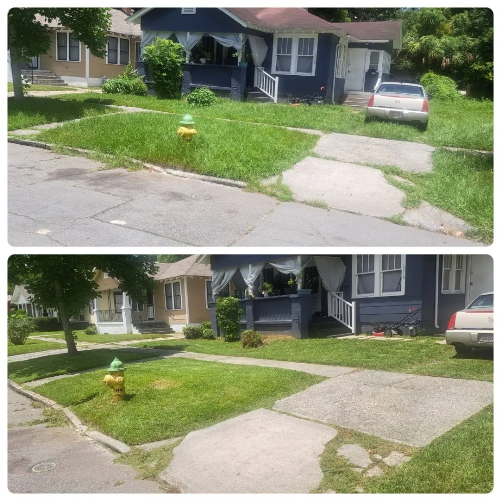 Professional landscaping services for homes in Vernonburg, GA by Cutter N Son Lawn &Pressure Washing