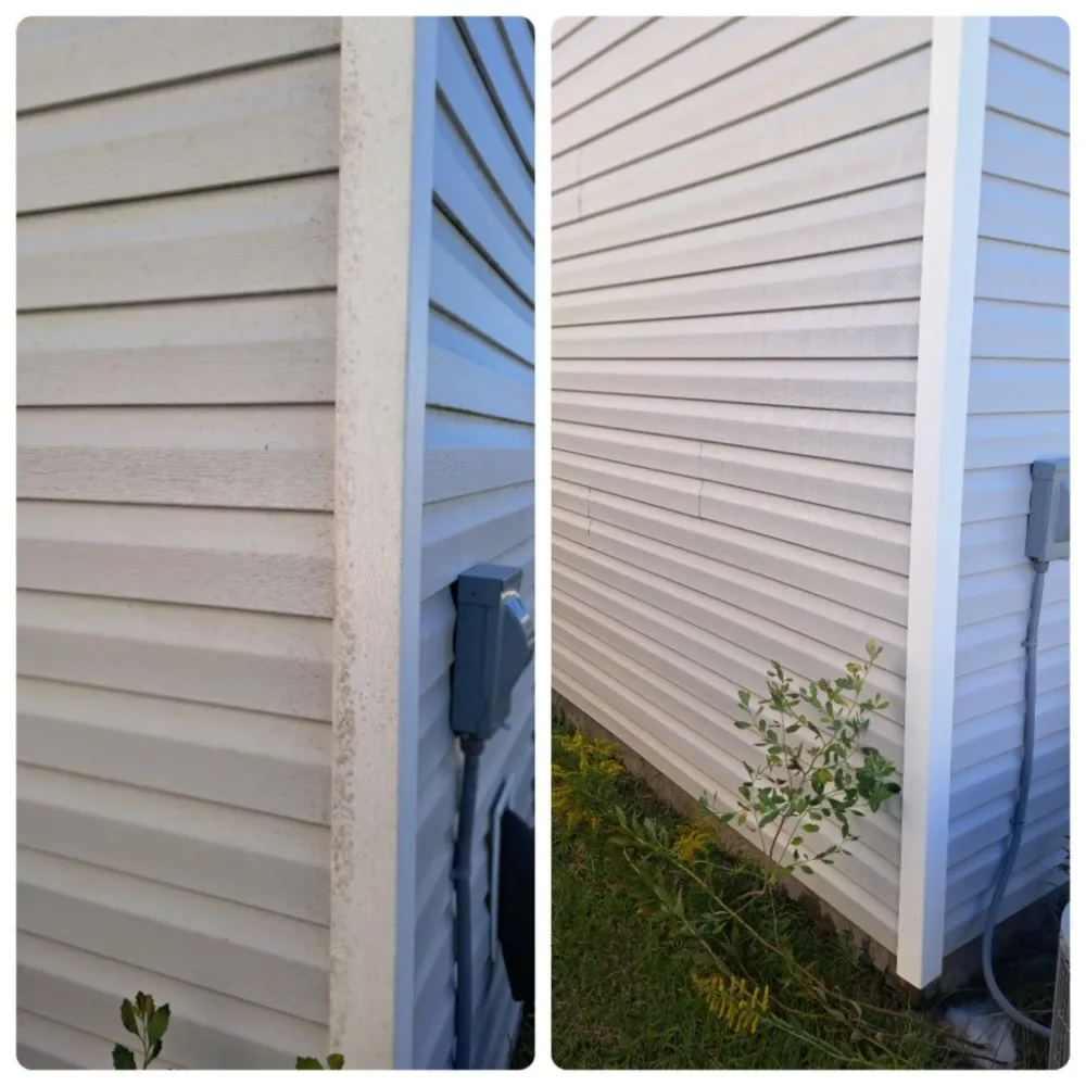 Reliable yard maintenance for outdoor upgrades in Vernonburg, GA by Cutter N Son Lawn &Pressure Washing