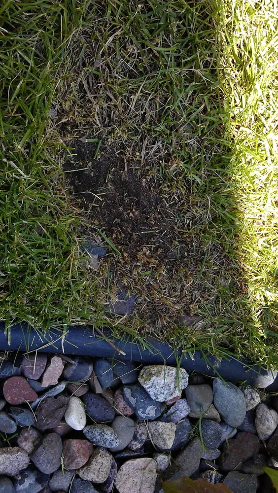 Expert garden landscaping for homes in Nowthen, MN by Cutters Choice