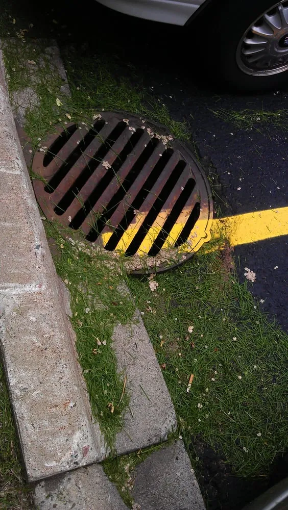 Local landscaping services near you in Nowthen, MN by Cutters Choice