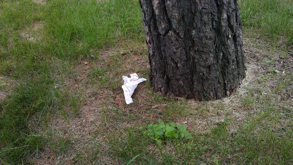 Top-rated lawn care service for residential properties in Nowthen, MN by Cutters Choice