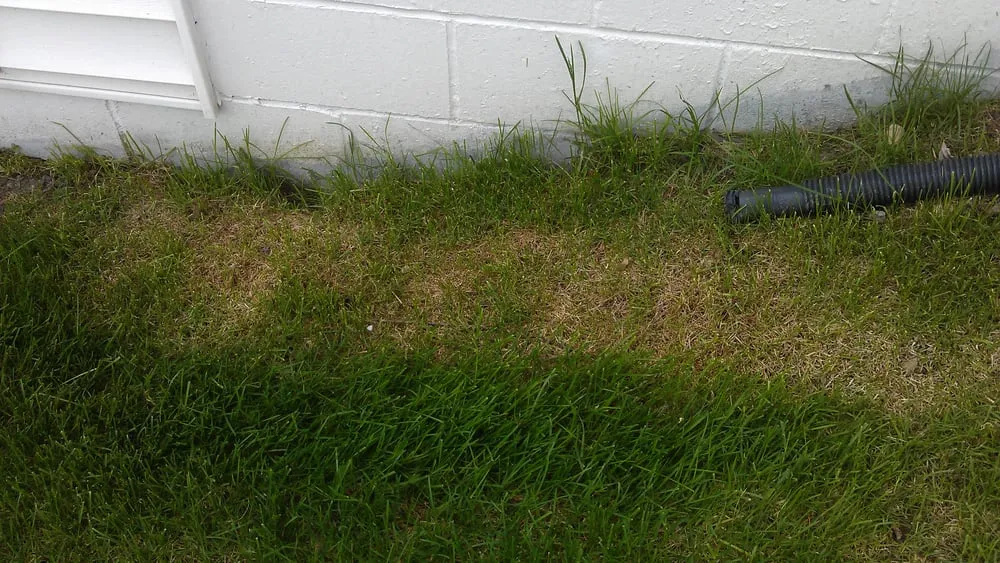 Trusted landscape installation in Nowthen, MN by Cutters Choice