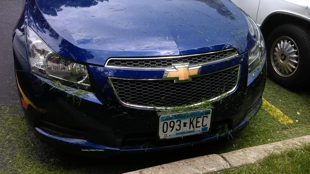 Reliable landscape installation in Nowthen, MN - Cutters Choice