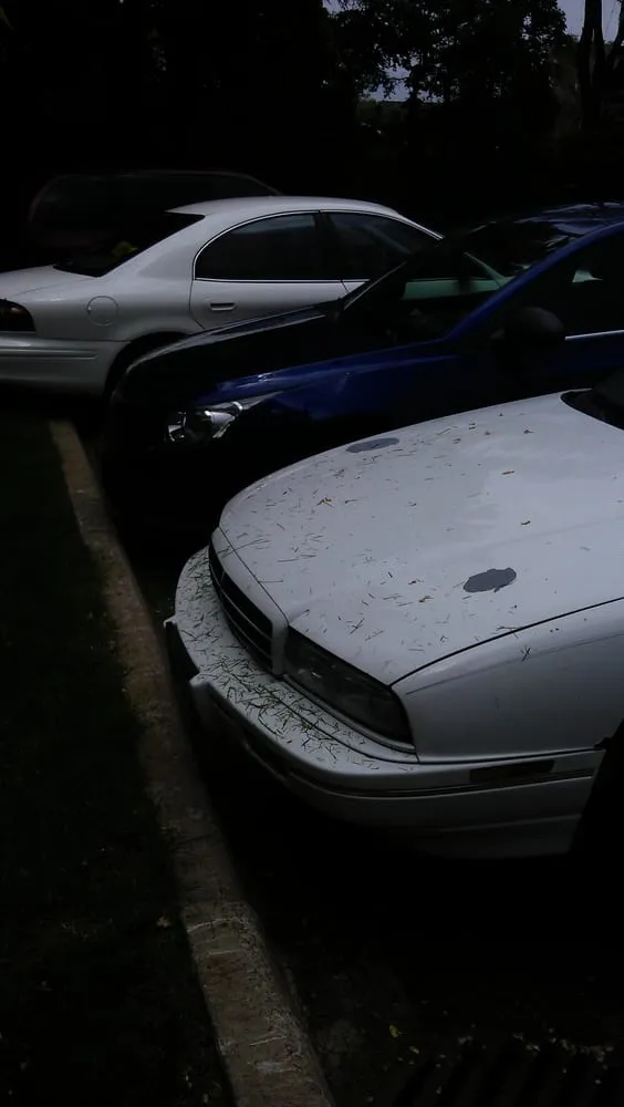 Affordable landscaping services experts serving Nowthen, MN - Cutters Choice