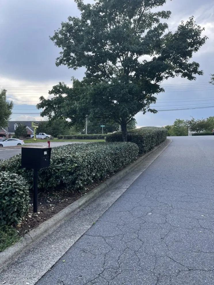 Trusted residential landscaping in Hickory, NC - Cutters Edge Lawn Specialists