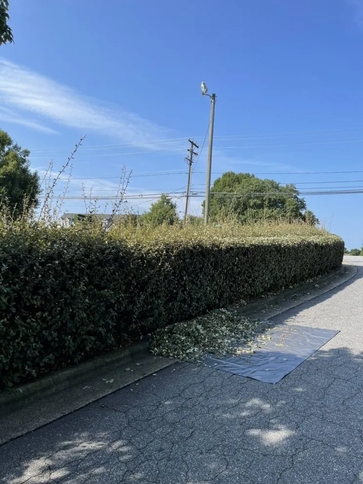 Expert residential landscaping in Hickory, NC by Cutters Edge Lawn Specialists