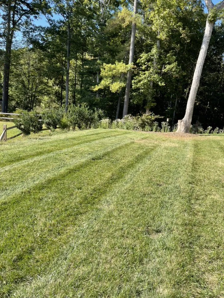 Affordable lawn care service in Hickory, NC - Cutters Edge Lawn Specialists