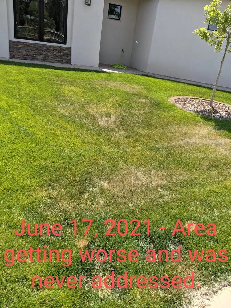 Custom landscape installation in Albuquerque, NM by Cutter's Edge Professional Services