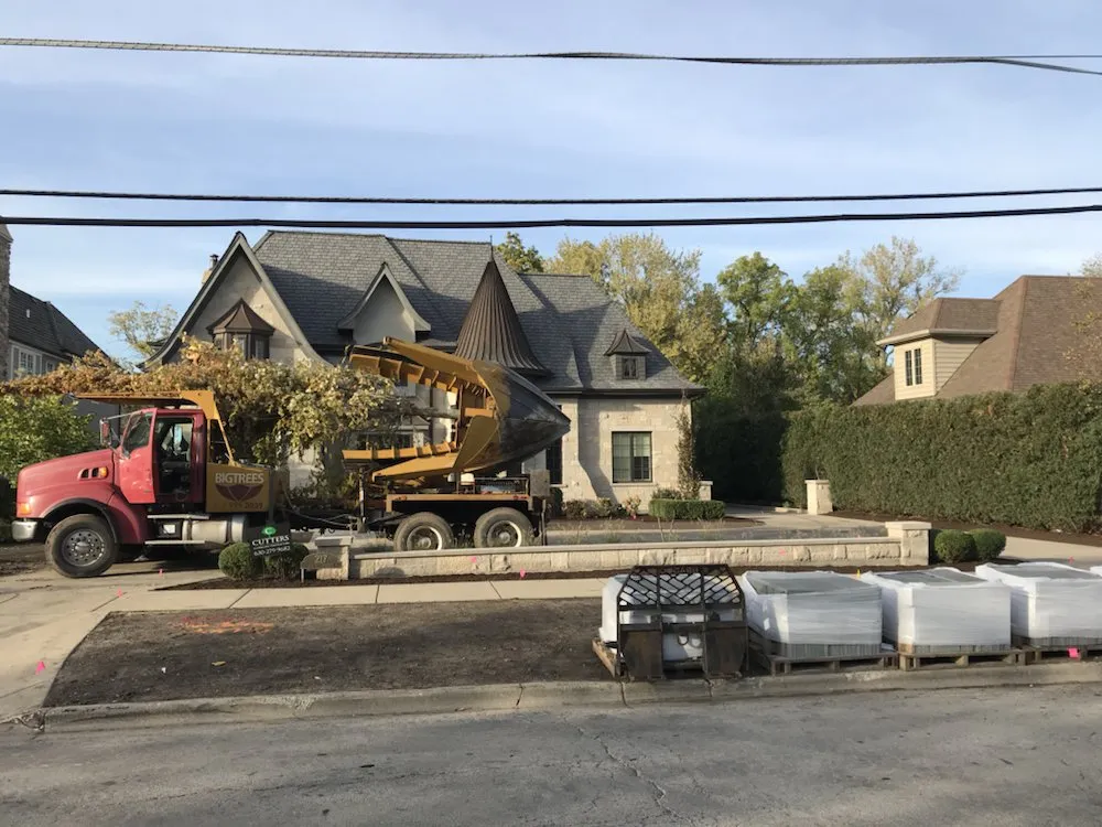 Top-rated yard cleanup service in Elmhurst, IL by Cutter's Landscaping