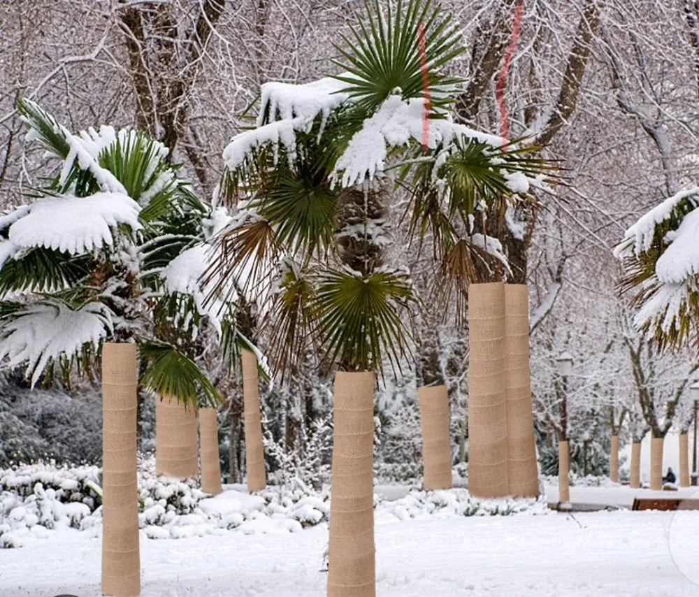 Top-rated residential landscaping in Fort Worth, TX by Cutters Lawn and Landscape