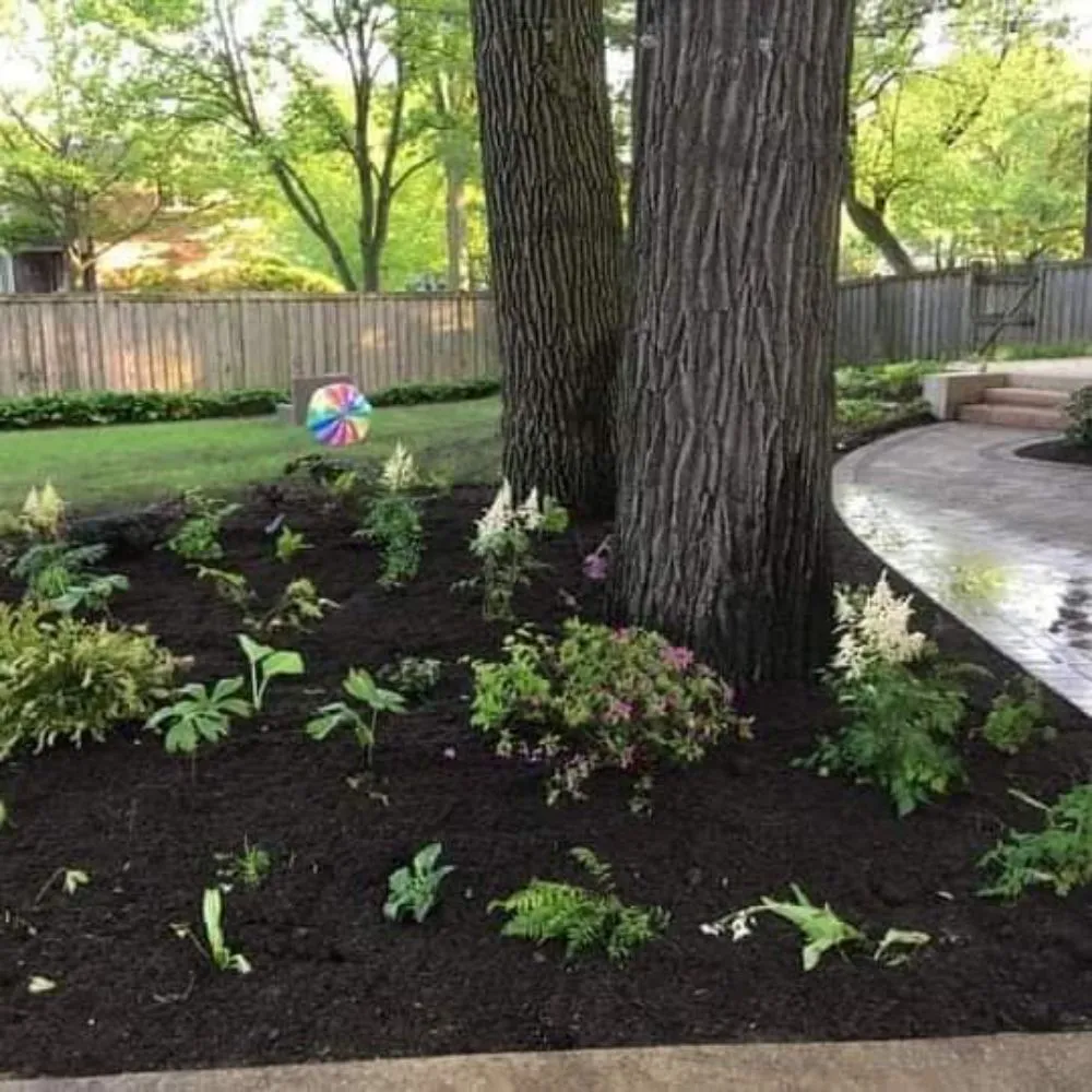 Affordable yard cleanup service in Fort Worth, TX by Cutters Lawn and Landscape