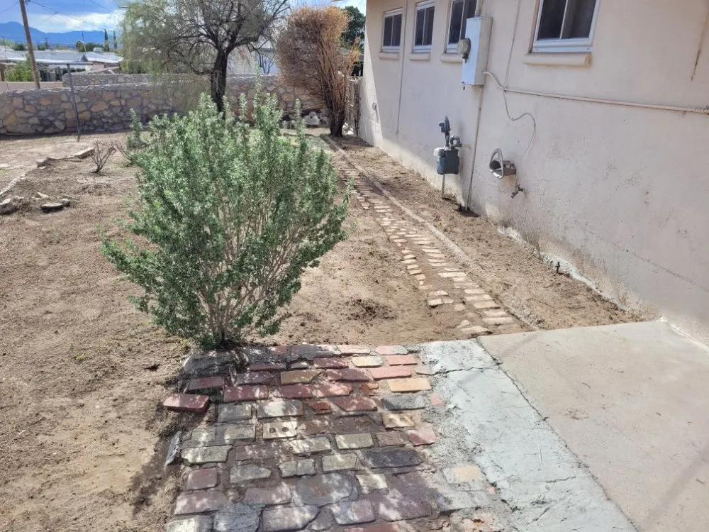 Local yard maintenance in El Paso, TX by Cutters Lawn Care