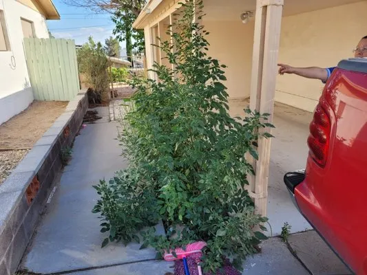 Cutters Lawn Care Logo