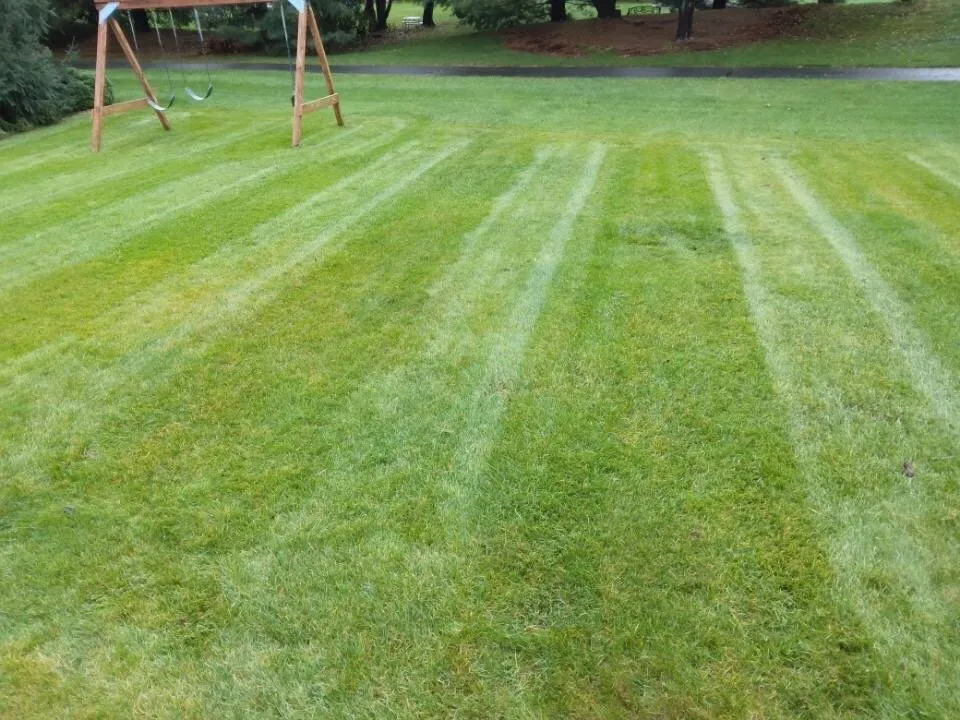 Top-rated landscape installation in Kalamazoo, MI - Cutters Lawn Care