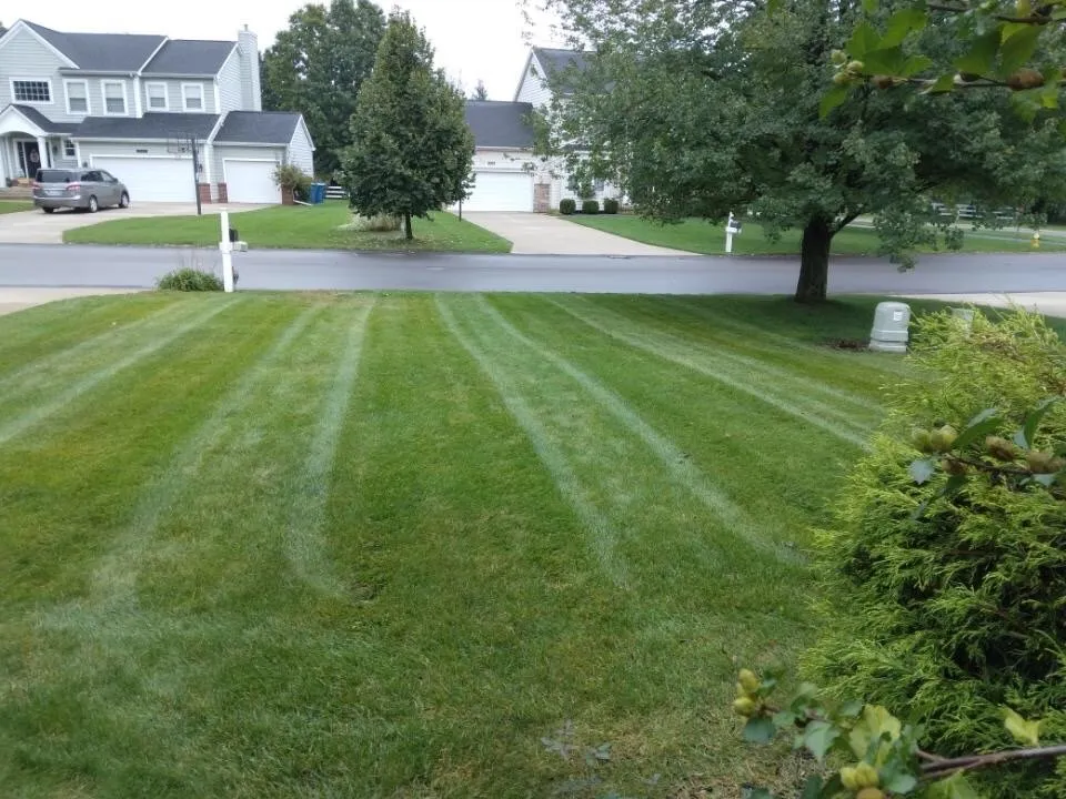 Top-rated yard maintenance for year-round maintenance in Kalamazoo, MI by Cutters Lawn Care