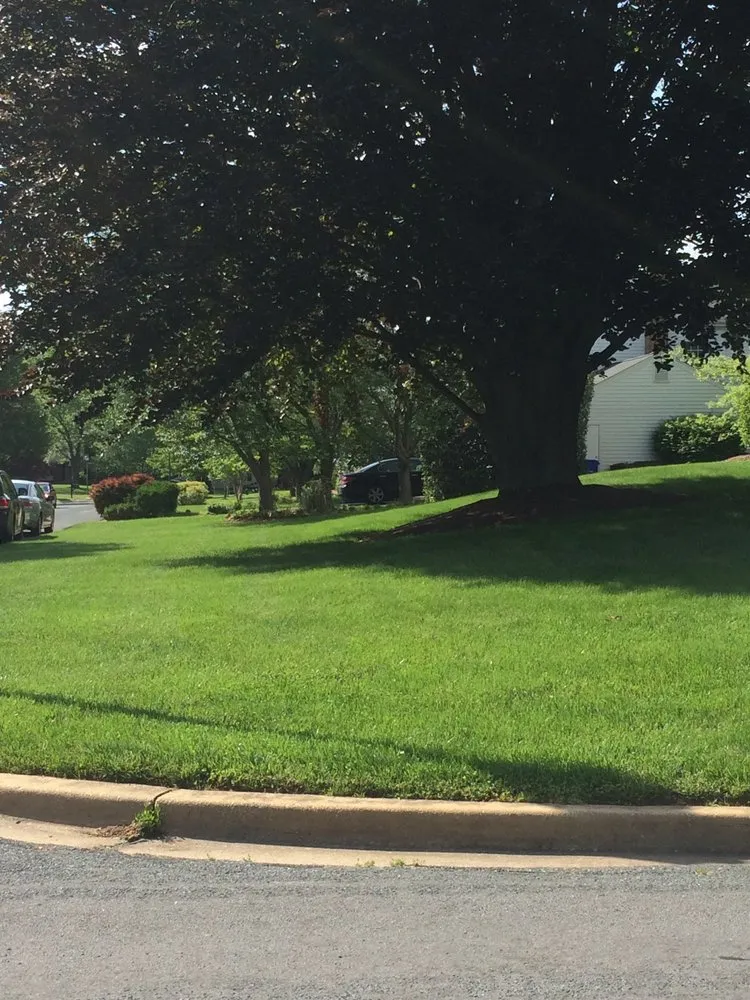 Top-rated garden landscaping experts serving Waxhaw, NC - Cutters Lawn Care