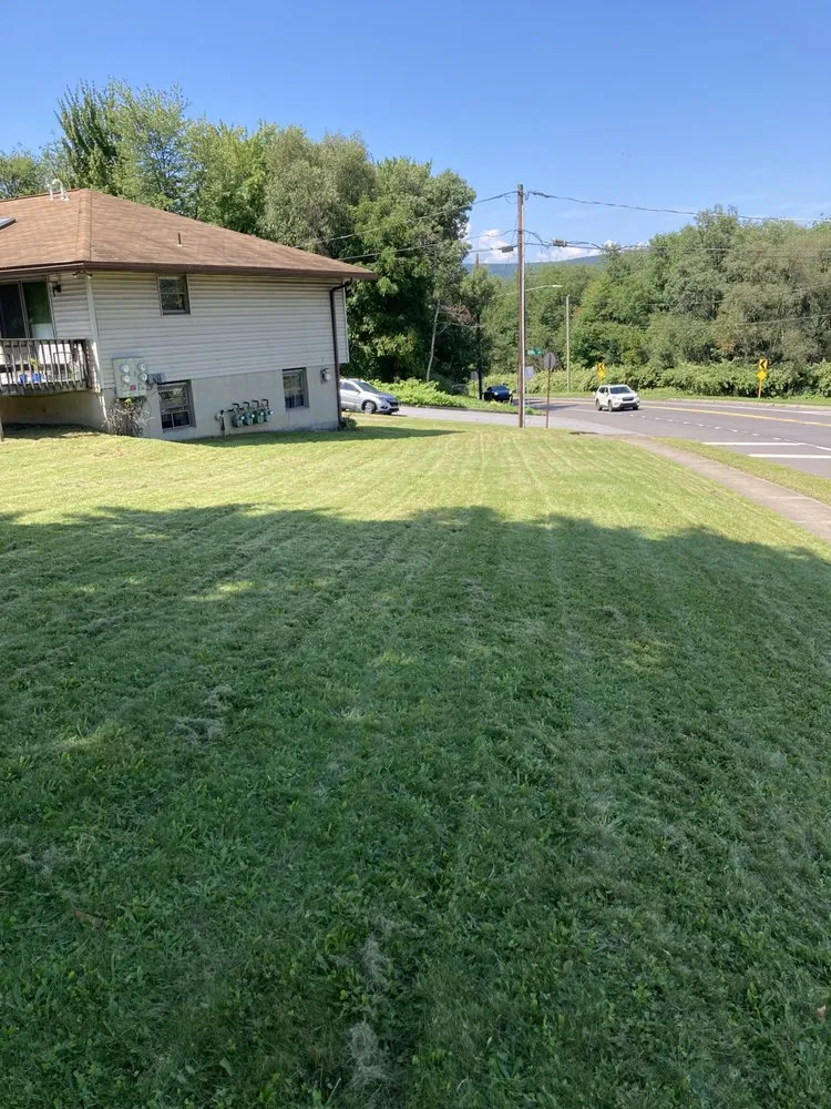 Trusted yard maintenance for residential properties across Scranton, PA - Cutter's