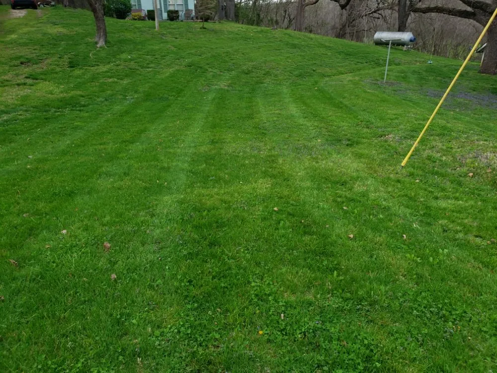 Top-rated yard cleanup service for beautiful yards in Diamond, MO by Cuttin Country Lawn Care