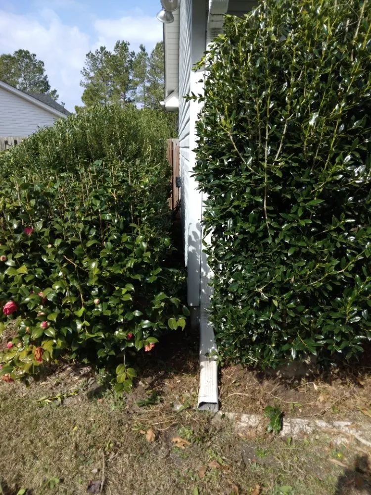 Top-rated lawn mowing service in Galivants Ferry, SC by Cuttin Crew