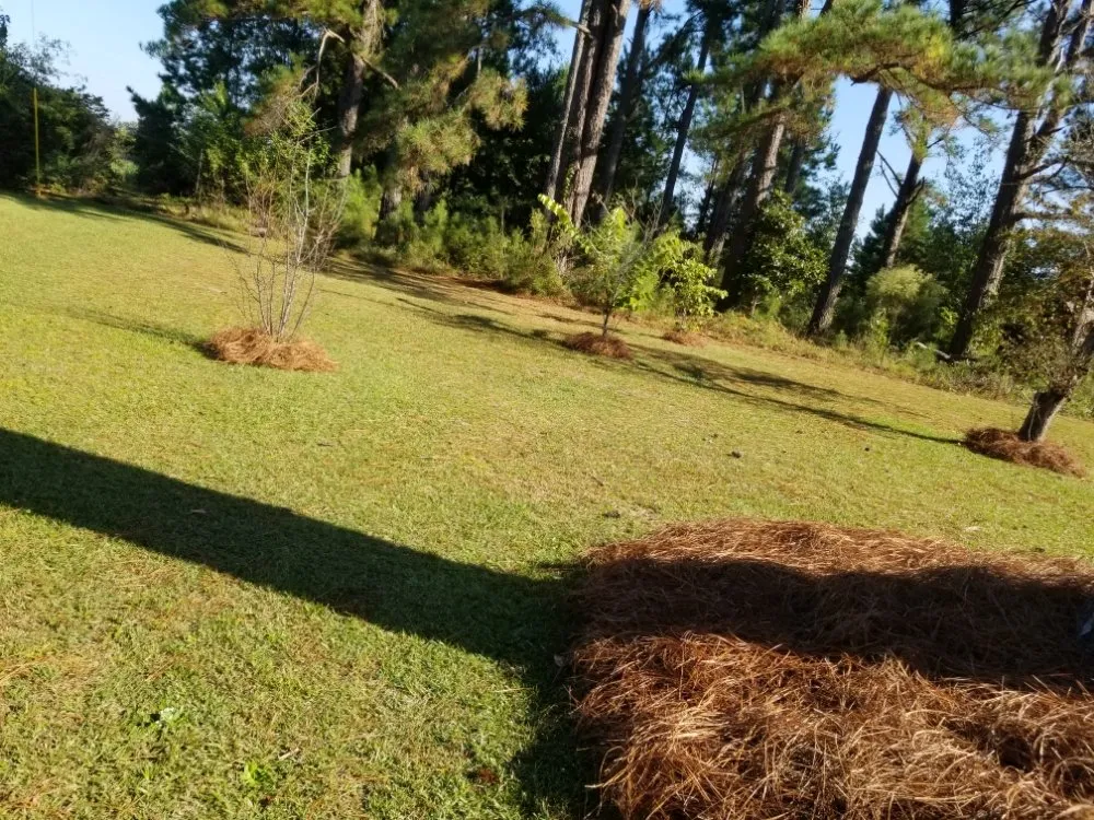 Expert garden landscaping in Galivants Ferry, SC - Cuttin Crew