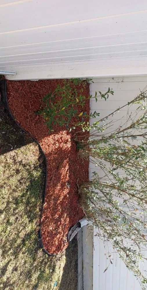 Local lawn care service in Galivants Ferry, SC by Cuttin Crew