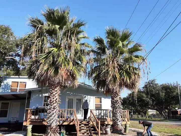 Local lawn care service experts serving Rockport, TX - Cuttin edge lawn care