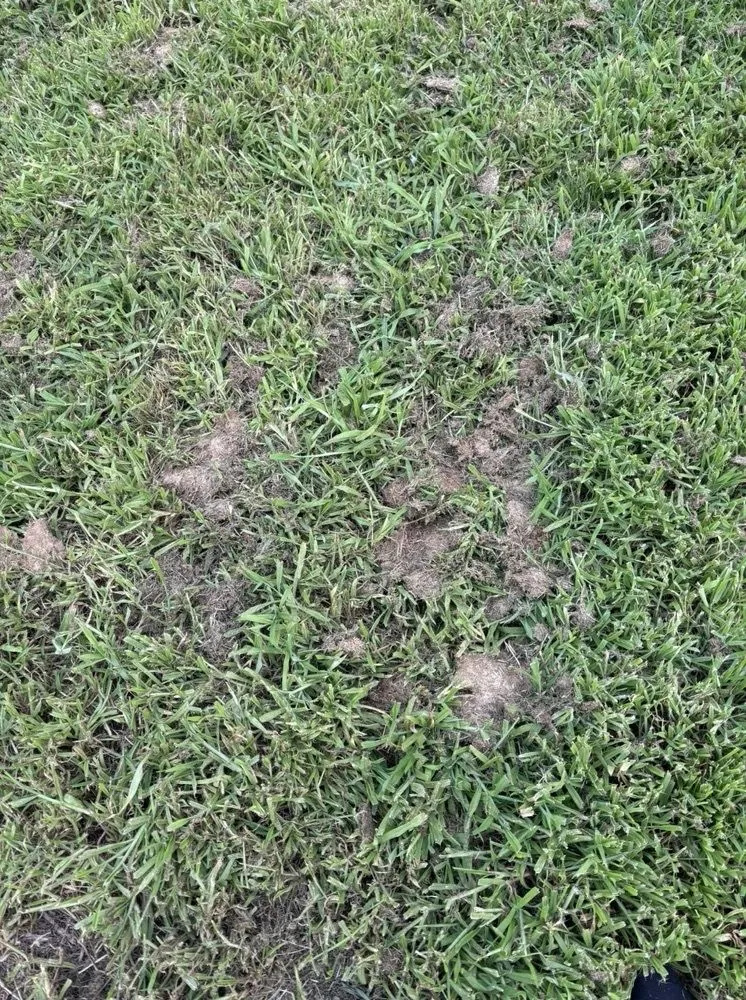 Local lawn mowing service with custom design across Morris, IL - Cuttin Edge Lawn To Landscaping