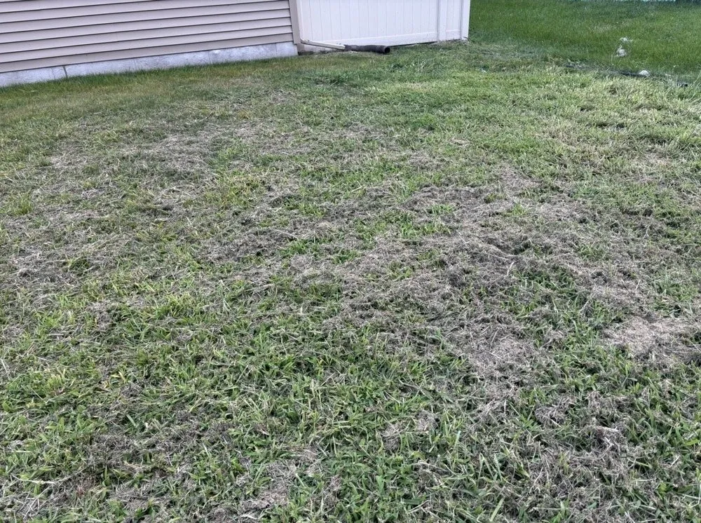 Reliable landscape installation in Morris, IL - Cuttin Edge Lawn To Landscaping