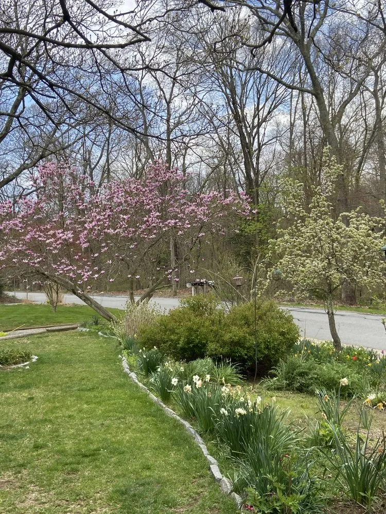 Affordable outdoor landscaping for residential properties across Hebron, CT - Cuttin Hedge