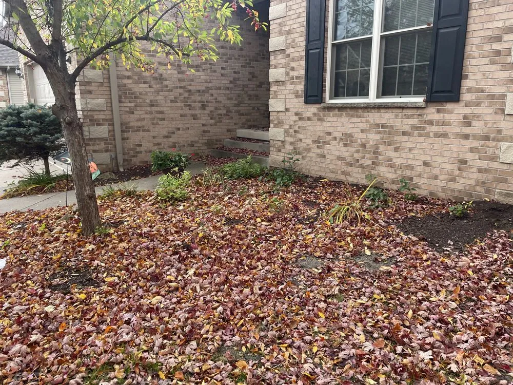 Affordable residential landscaping experts serving Davenport, IA - Cuttin' It Close