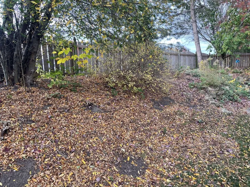 Custom landscape design experts serving Davenport, IA - Cuttin' It Close