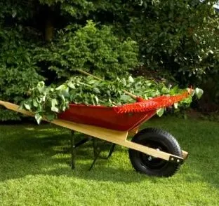 Reliable yard maintenance in Arlington, TX - Cuttin It Close Lawn Care Service