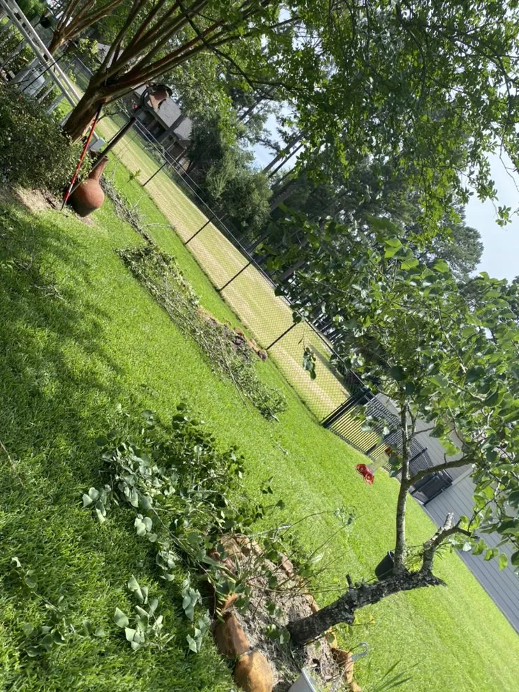 Reliable lawn care service in Livingston, TX by Cuttin Texas