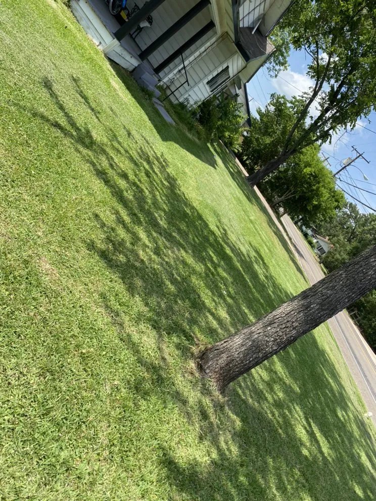 Custom lawn mowing service experts serving Livingston, TX - Cuttin Texas