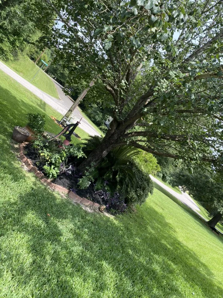 Local yard cleanup service near you across Livingston, TX - Cuttin Texas