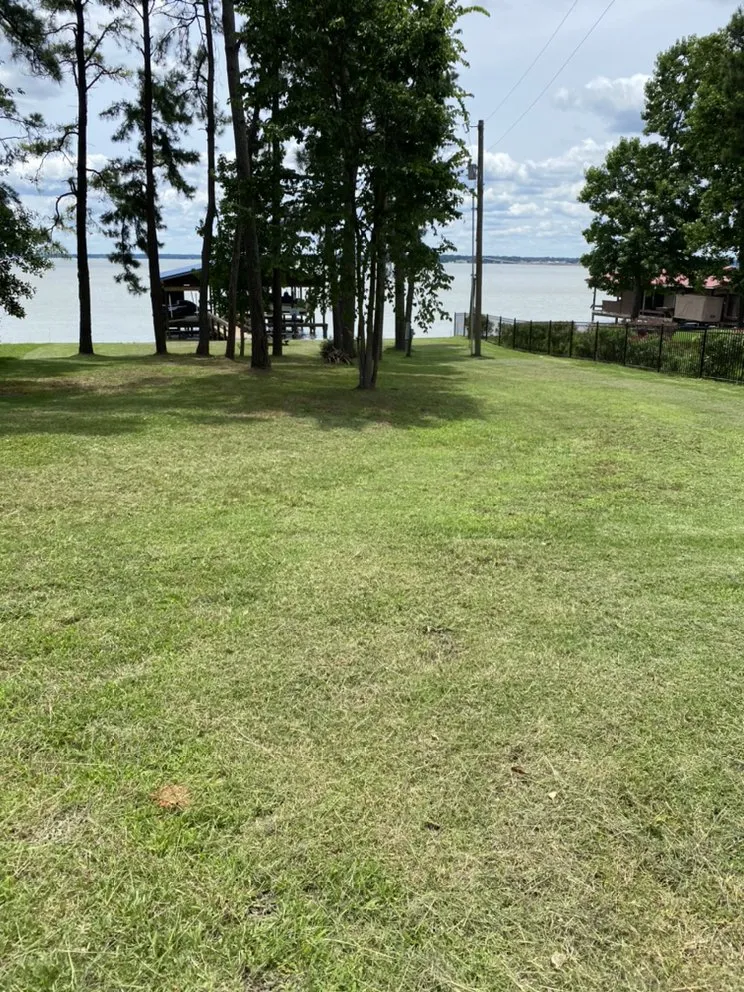 Trusted landscaping services for beautiful yards across Livingston, TX - Cuttin Texas