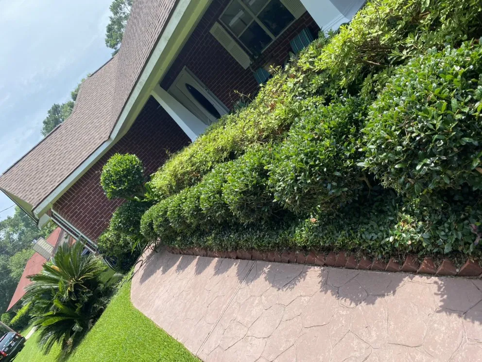 Expert landscape installation in Livingston, TX by Cuttin Texas