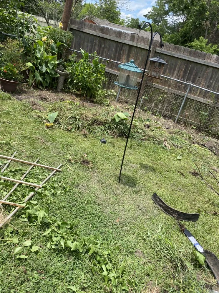 Top-rated outdoor landscaping in Livingston, TX - Cuttin Texas