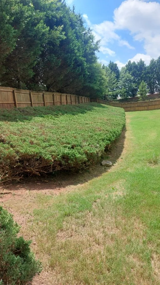 Local lawn mowing service in Lawrenceville, GA by Cuttin Up Lawncare & Development