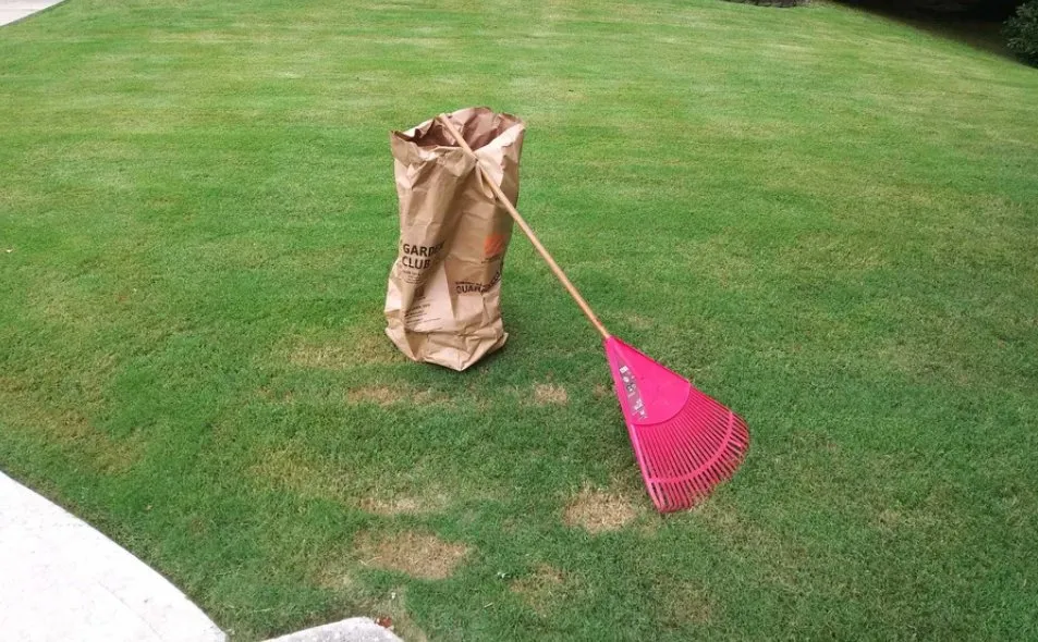 Reliable yard maintenance for beautiful yards across Lawrenceville, GA - Cuttin Up Lawncare & Development