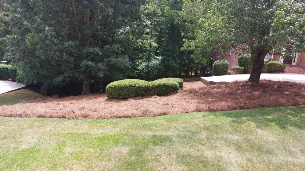 Professional landscaping services in Lawrenceville, GA - Cuttin Up Lawncare & Development