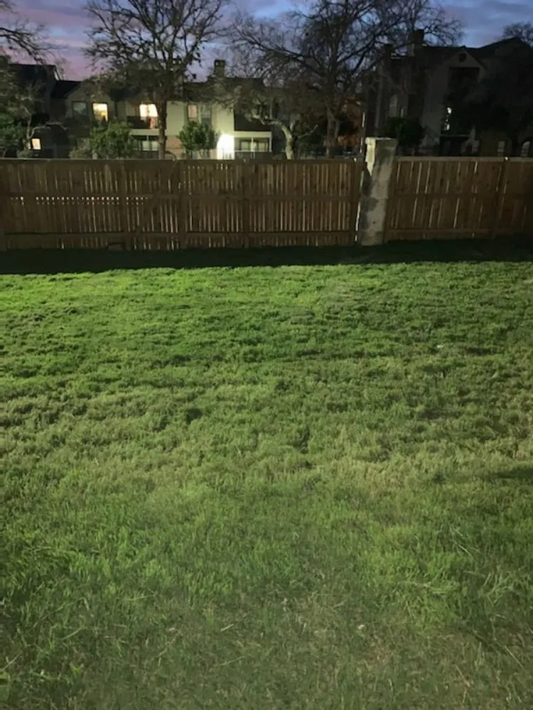 Custom yard cleanup service experts serving San Antonio, TX - Cutting 4 Miles Landscaping