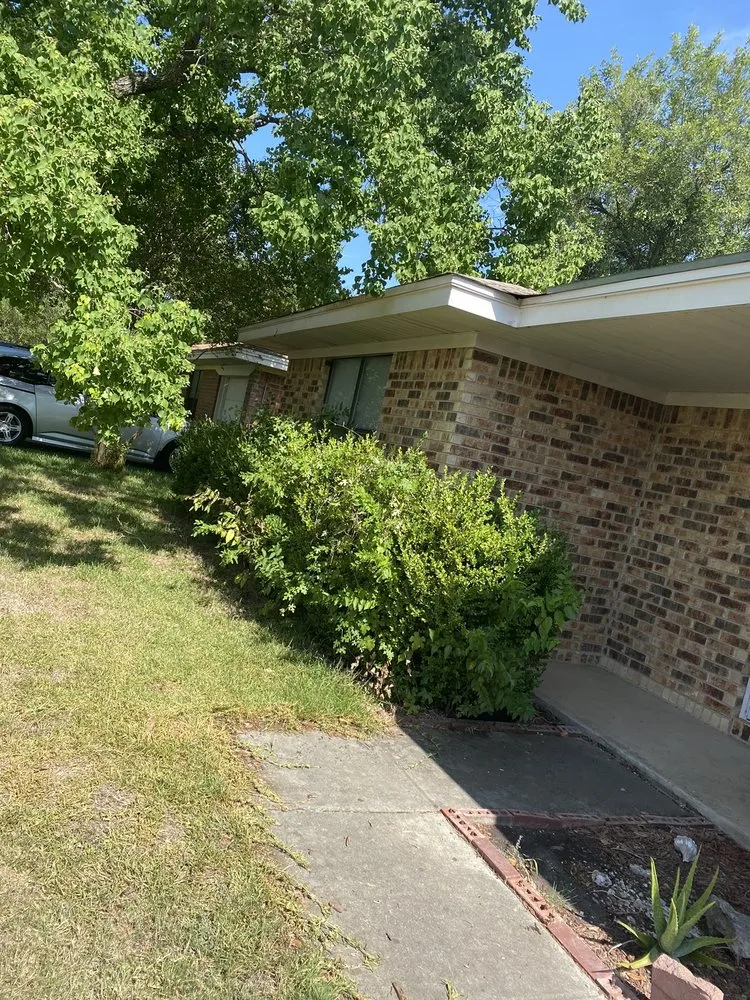 Trusted yard cleanup service in San Antonio, TX by Cutting 4 Miles Landscaping