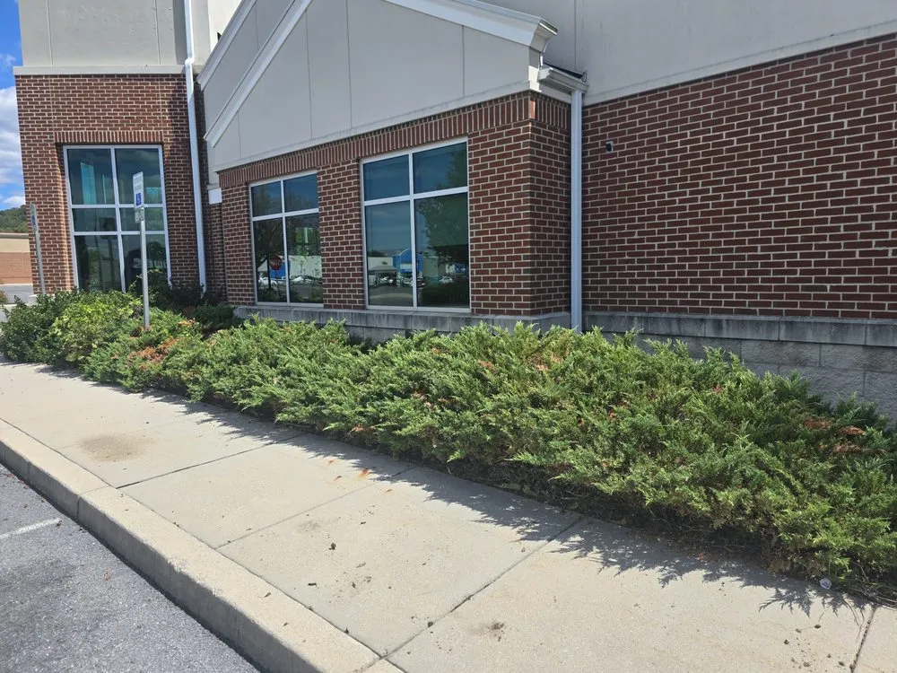 Professional garden landscaping experts serving Greencastle, PA - Cutting Crew