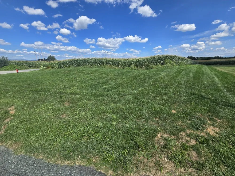 Local lawn care service for outdoor upgrades in Greencastle, PA by Cutting Crew