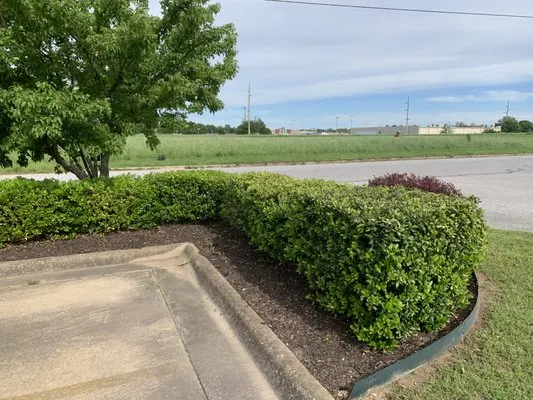 Cutting Crew Lawn Care & Landscaping Logo