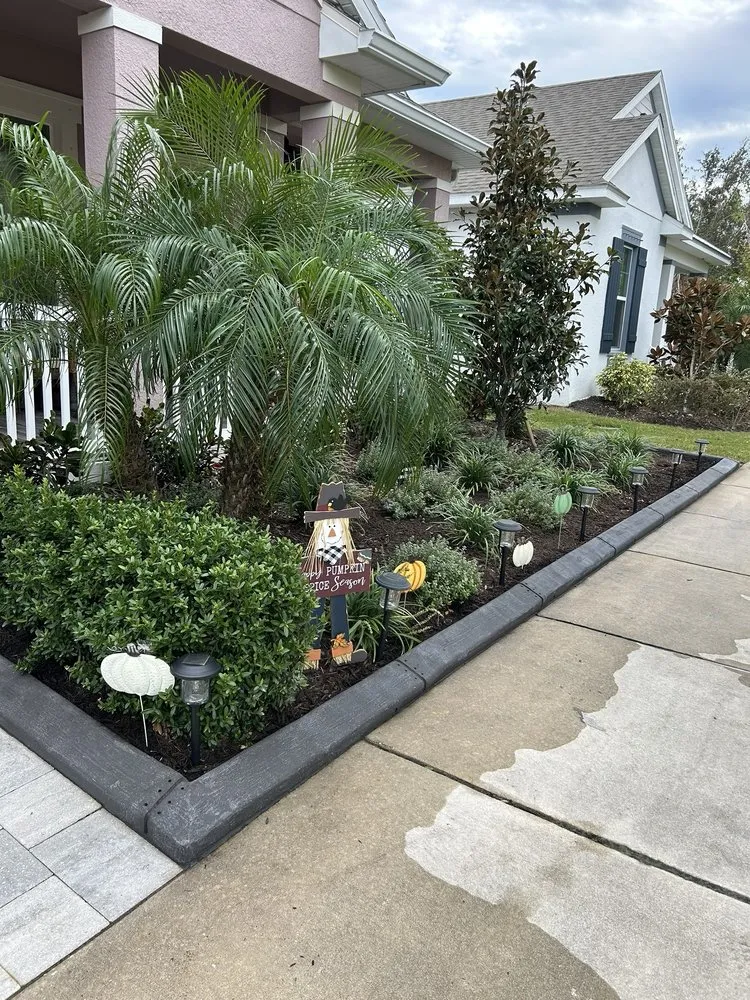 Expert lawn care service experts serving Tampa, FL - Cutting Edge Curbing